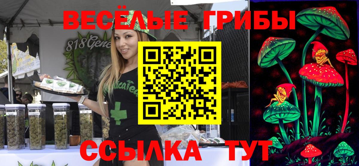 Менделеевск  где купить наркоту  Вход с VPN  Псилоцибиновые грибы Psilocybe 